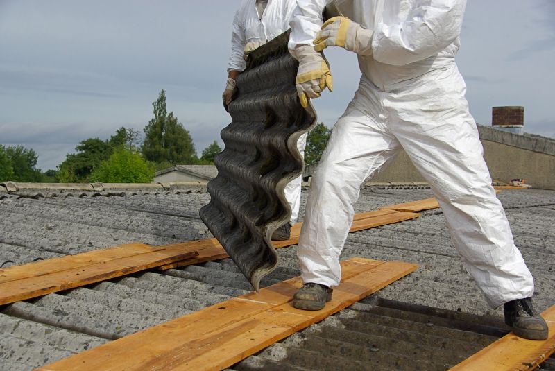 Top Rated Products for Vermiculite Removal