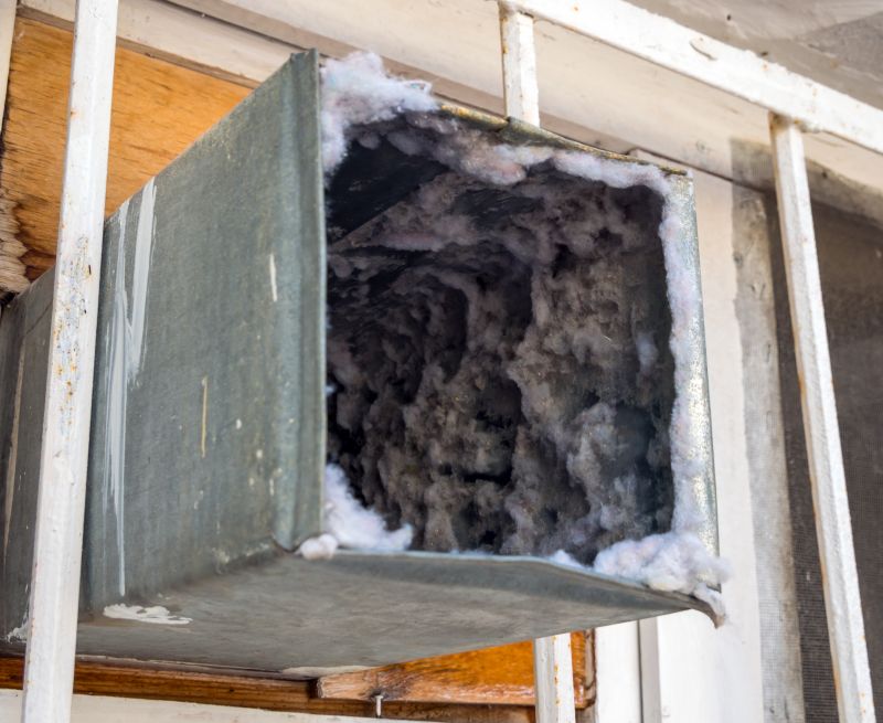 Air Duct Mold Removal in Dallas, TX