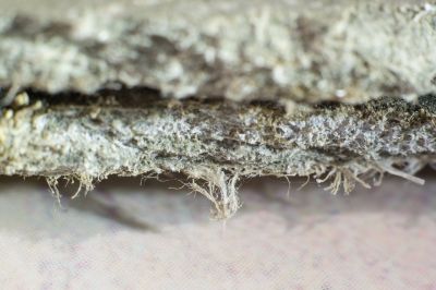 Basement Asbestos Removal in Somerset County, NJ