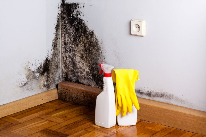 Black Mold Remediation in Essex County, NJ