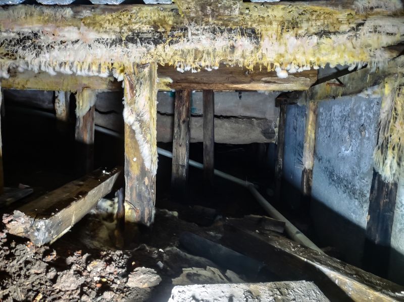 Crawlspace Mold Remediation in Jupiter, FL