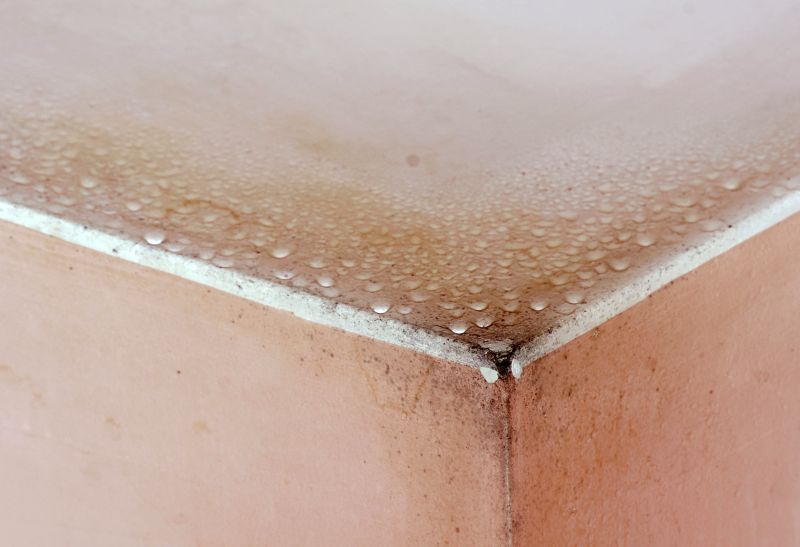 Garage Mold Remediation in Jupiter, FL
