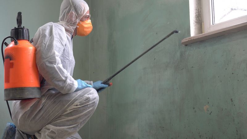 Mold Control in Dallas, TX