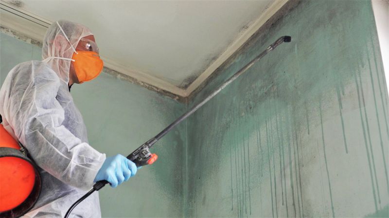 Mold Remediation Service in Fort Worth, TX