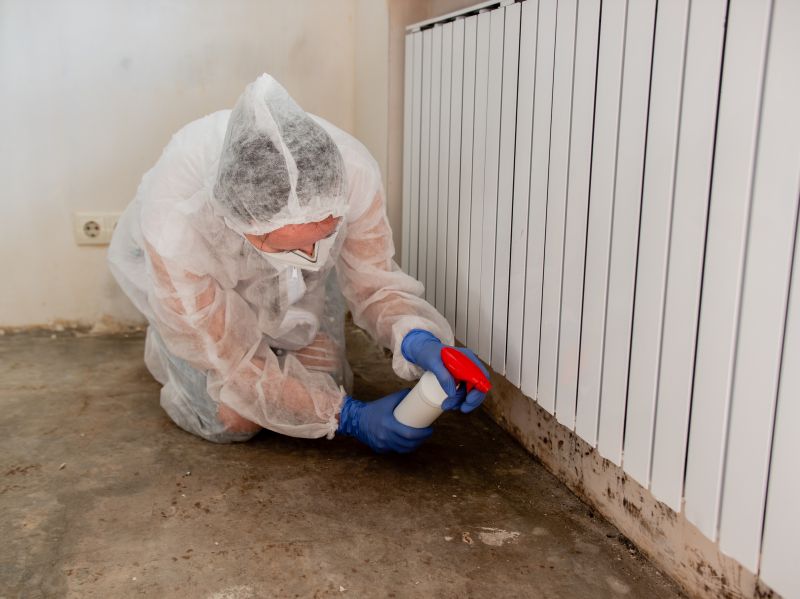 Mold Restoration in West Palm Beach, FL