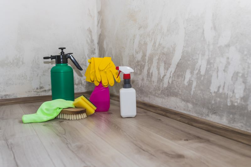 Mold Restoration in Bergen County, NJ