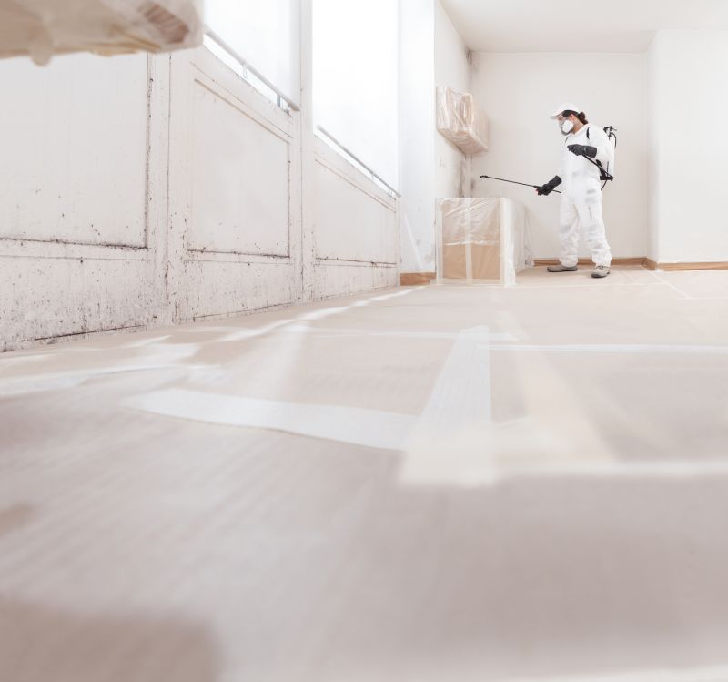 Mold Restoration in Bergen County, NJ