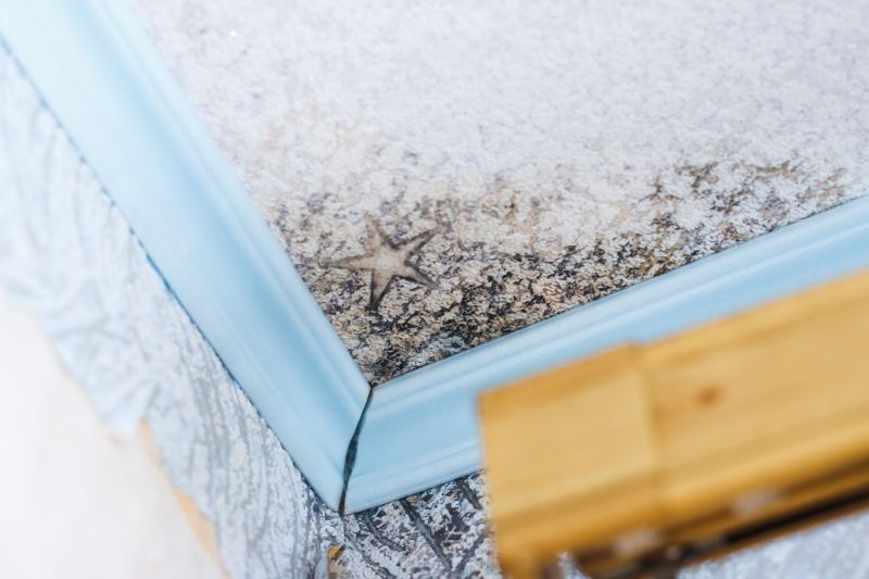 Mold Restoration in Broward County, FL