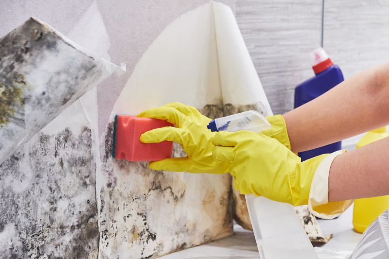 Mold Restoration in Fort Worth, TX