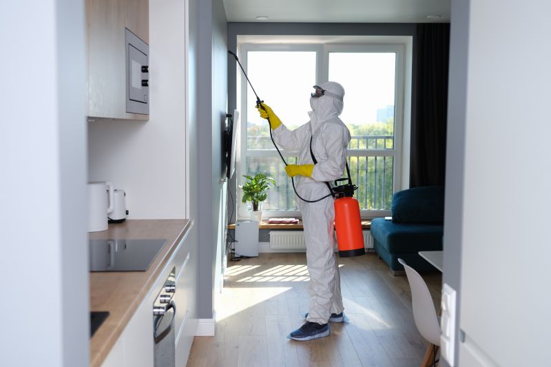 Mold Treatment Service in Boca Raton, FL