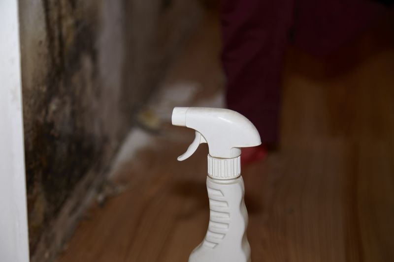 Mold Treatment Service in Fort Lauderdale, FL