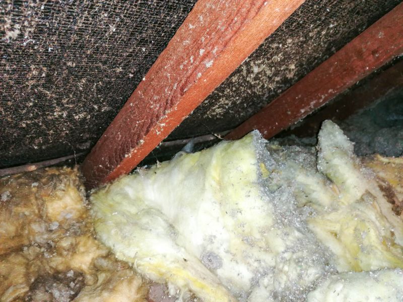 Contaminated Insulation Layers