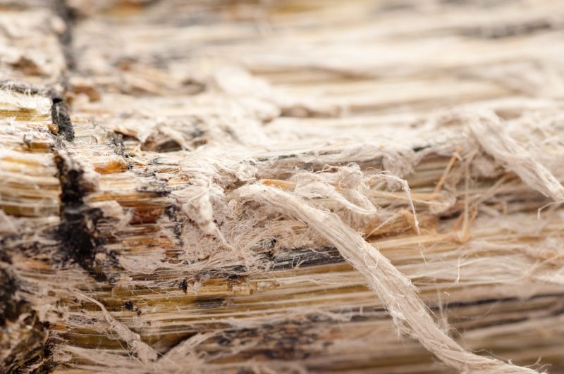 Vermiculite Remediation in Old Bridge, NJ