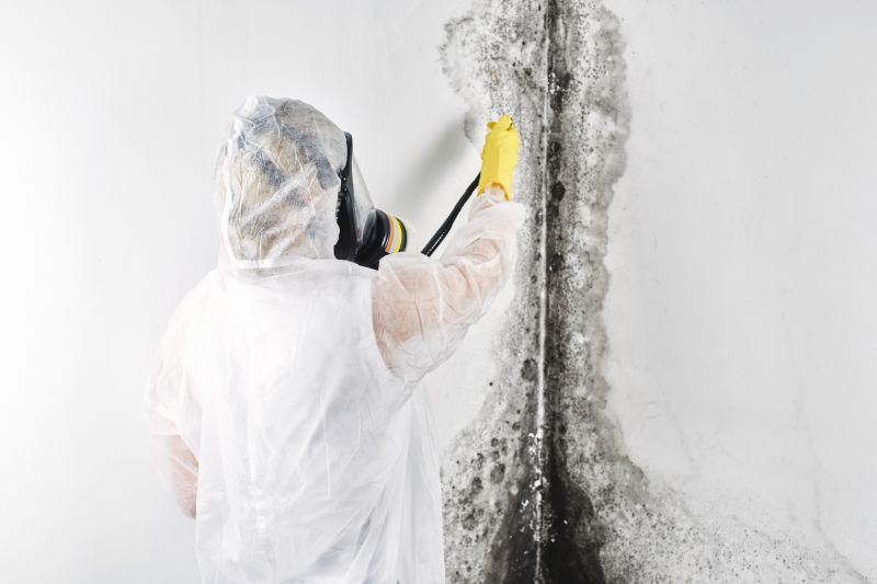 White Mold Mitigation in West Palm Beach, FL