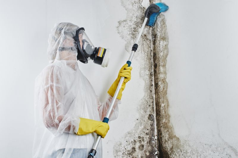 White Mold Mitigation in Broward County, FL