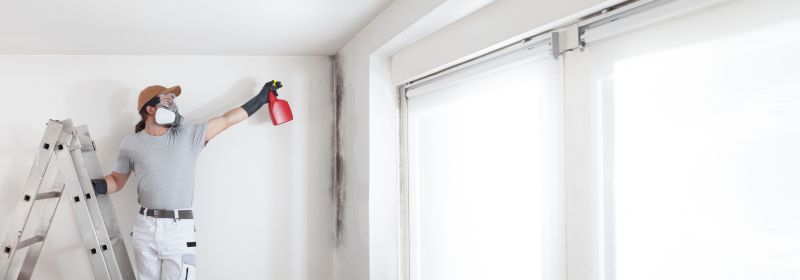 White Mold Mitigation in Bergen County, NJ